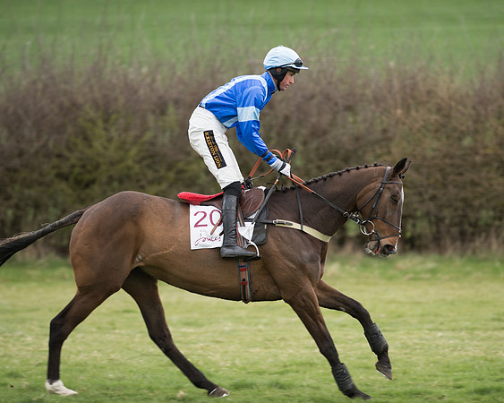 Race 6 - Open Maiden (72 of 201).jpg