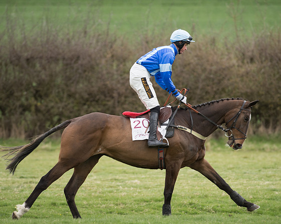 Race 6 - Open Maiden (73 of 201).jpg