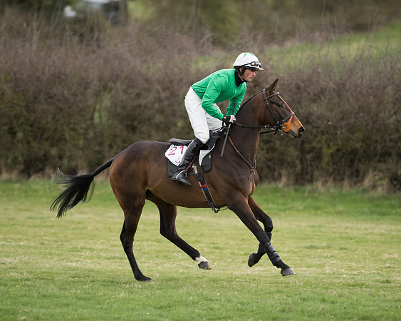 Race 6 - Open Maiden (74 of 201).jpg