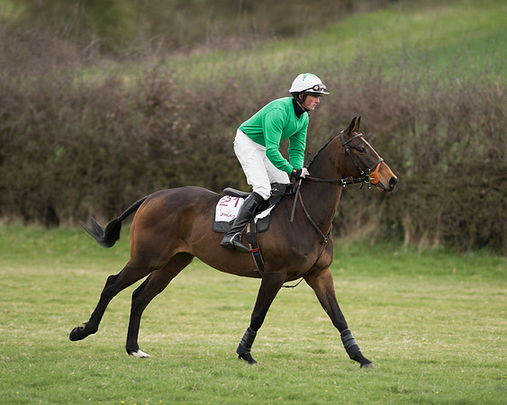 Race 6 - Open Maiden (75 of 201).jpg