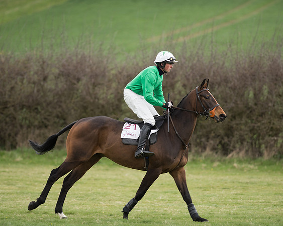 Race 6 - Open Maiden (76 of 201).jpg