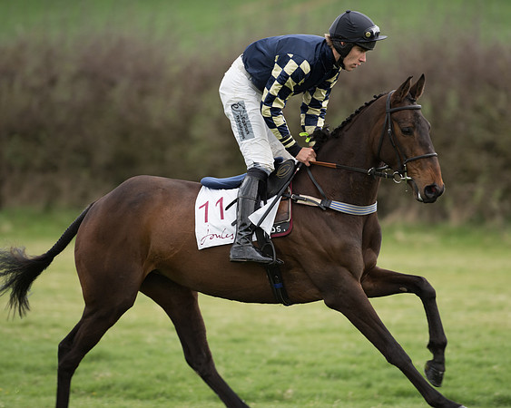 Race 6 - Open Maiden (77 of 201).jpg