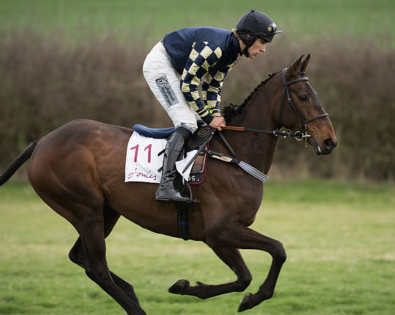 Race 6 - Open Maiden (78 of 201).jpg