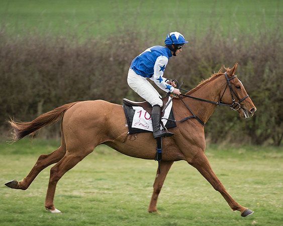 Race 6 - Open Maiden (79 of 201).jpg