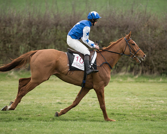 Race 6 - Open Maiden (81 of 201).jpg
