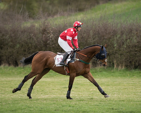 Race 6 - Open Maiden (85 of 201).jpg