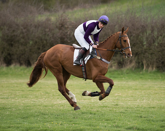 Race 6 - Open Maiden (86 of 201).jpg