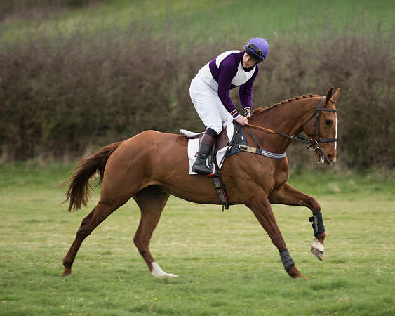 Race 6 - Open Maiden (87 of 201).jpg