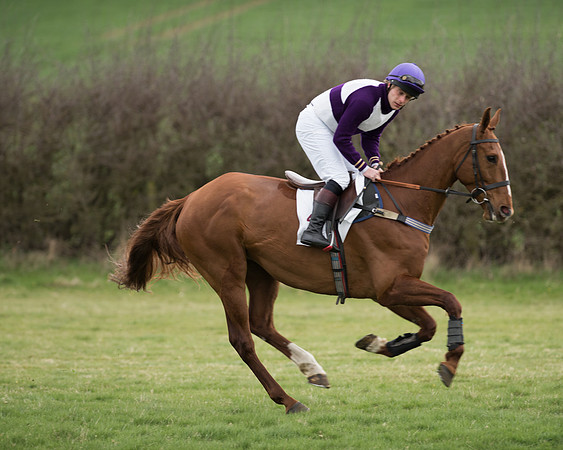 Race 6 - Open Maiden (89 of 201).jpg
