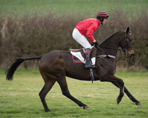 Race 6 - Open Maiden (90 of 201).jpg