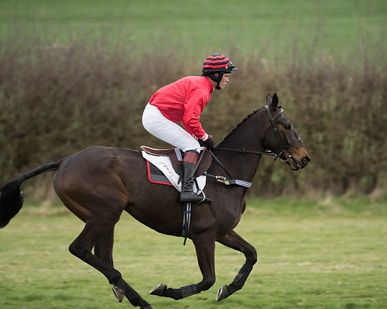 Race 6 - Open Maiden (91 of 201).jpg