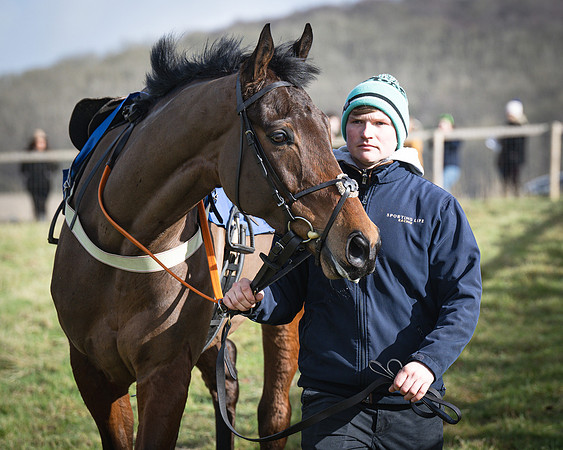 Race 1 - Four and Five year Old Maiden (26 of 137)
