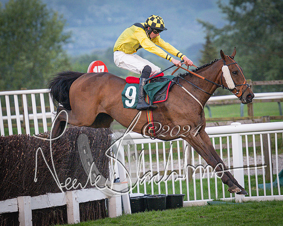 Race - 7 The Royal Gloucester Hussars Open Hunter's steeplechase 2m4f 127y (134 of 210)