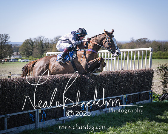 Race 5 - The restricted (73 of 113)