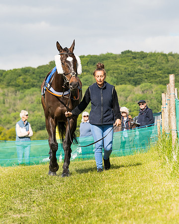 Race 5 - Restricted  (2 of 136)