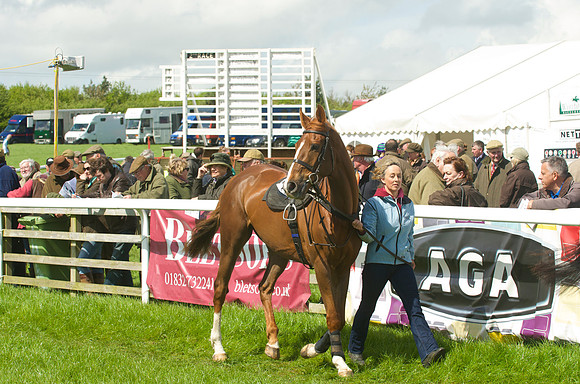 Race 2 - Open Maiden  15