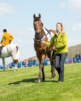 Race 1 - The Confined Hunts Race (17 of 121).jpg