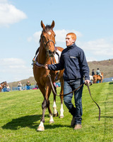 Race 1 - The Confined Hunts Race (20 of 121).jpg