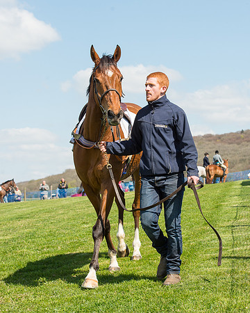 Race 1 - The Confined Hunts Race (20 of 121).jpg