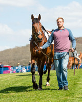 Race 1 - The Confined Hunts Race (24 of 121).jpg