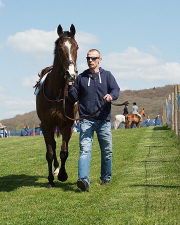 Race 1 - The Confined Hunts Race (29 of 121).jpg