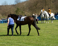 Race 1 - The Confined Hunts Race (30 of 121).jpg