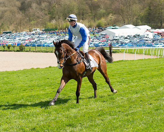 Race 1 - The Confined Hunts Race (32 of 121).jpg