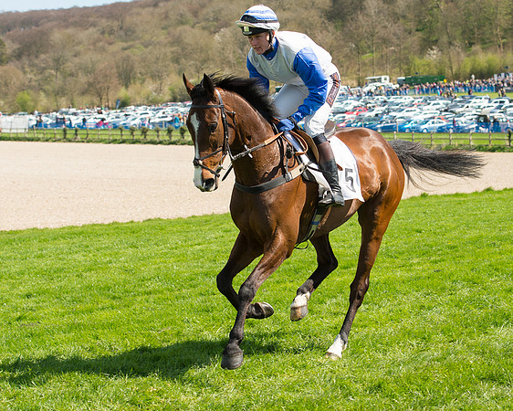 Race 1 - The Confined Hunts Race (34 of 121).jpg