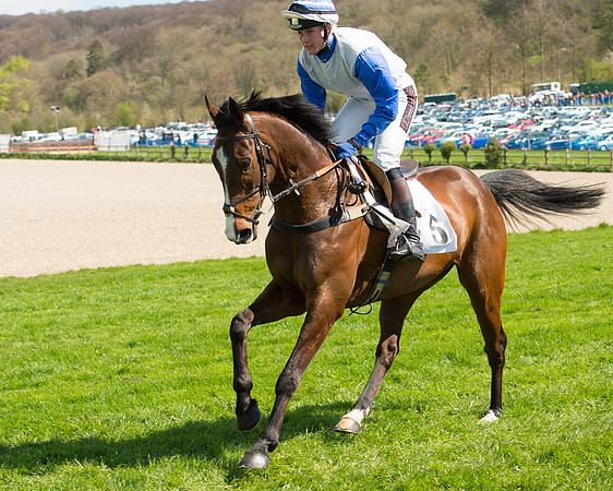 Race 1 - The Confined Hunts Race (35 of 121).jpg