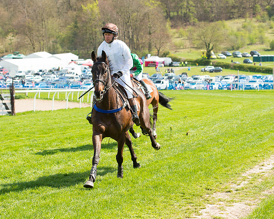 Race 1 - The Confined Hunts Race (41 of 121).jpg