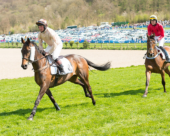 Race 1 - The Confined Hunts Race (50 of 121).jpg