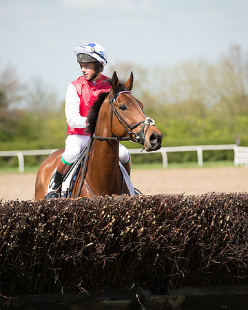 Race 1 - The Confined Hunts Race (54 of 121).jpg