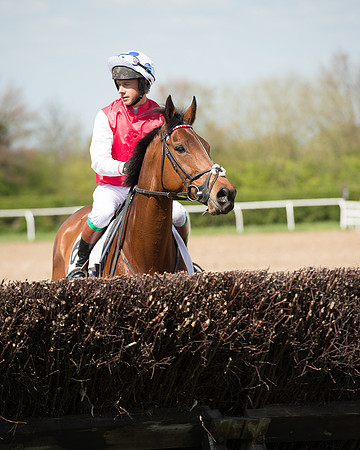 Race 1 - The Confined Hunts Race (55 of 121).jpg