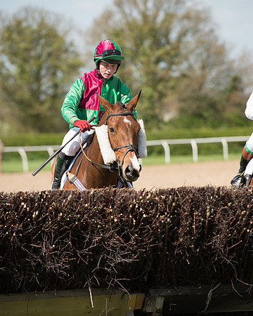 Race 1 - The Confined Hunts Race (56 of 121).jpg