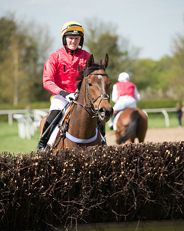 Race 1 - The Confined Hunts Race (60 of 121).jpg