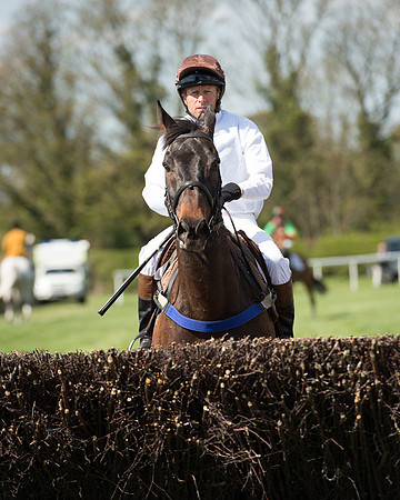 Race 1 - The Confined Hunts Race (63 of 121).jpg