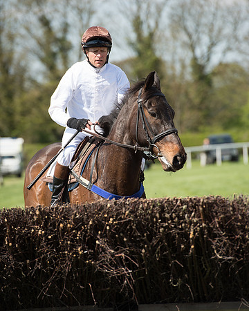 Race 1 - The Confined Hunts Race (64 of 121).jpg