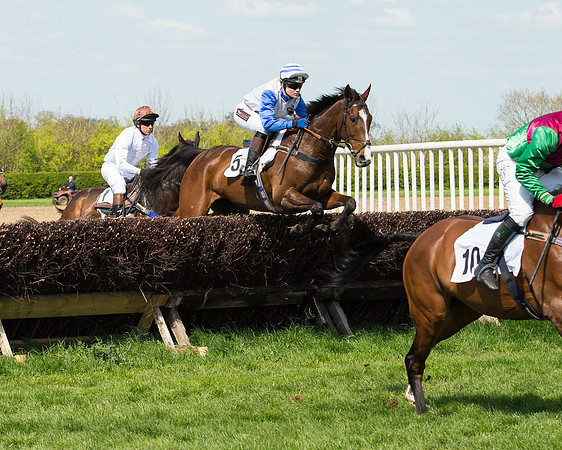 Race 1 - The Confined Hunts Race (75 of 121).jpg