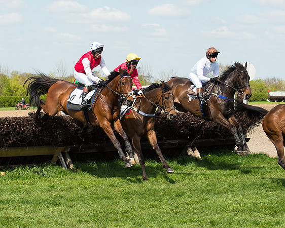 Race 1 - The Confined Hunts Race (79 of 121).jpg