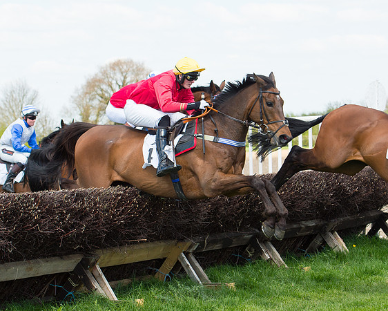 Race 1 - The Confined Hunts Race (89 of 121).jpg