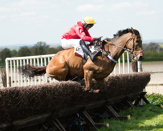 Race 1 - The Confined Hunts Race (99 of 121).jpg
