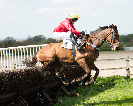 Race 1 - The Confined Hunts Race (100 of 121).jpg