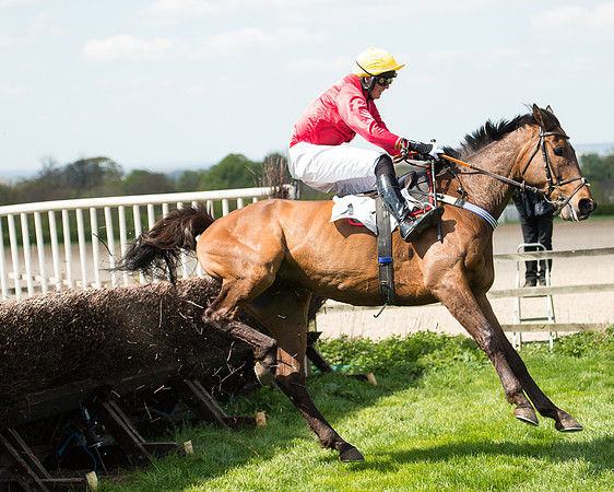 Race 1 - The Confined Hunts Race (101 of 121).jpg