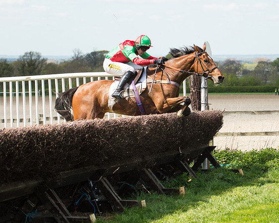 Race 1 - The Confined Hunts Race (102 of 121).jpg