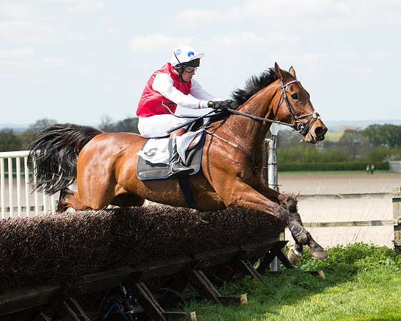 Race 1 - The Confined Hunts Race (105 of 121).jpg