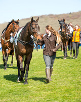 Race 3 - Young Horse Maiden (2 of 110).jpg