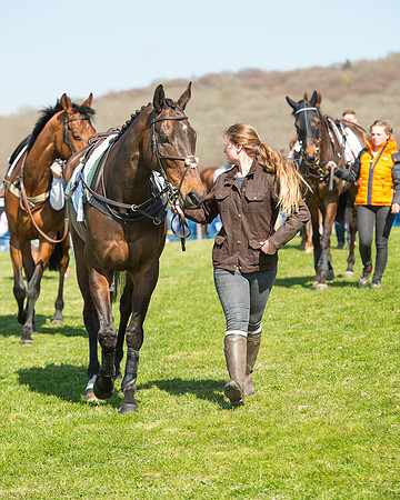 Race 3 - Young Horse Maiden (2 of 110).jpg