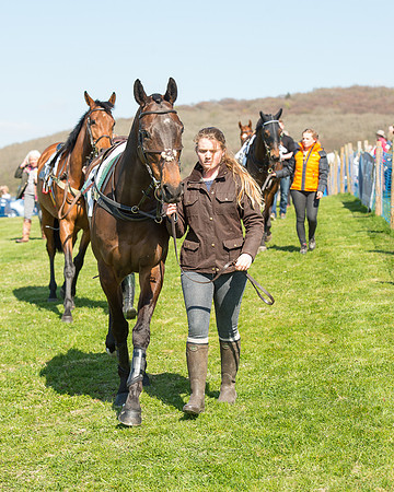 Race 3 - Young Horse Maiden (3 of 110).jpg