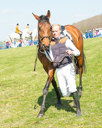 Race 3 - Young Horse Maiden (5 of 110).jpg
