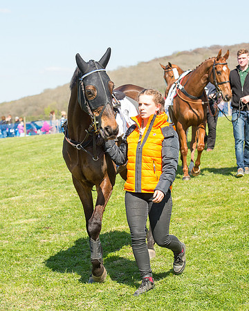 Race 3 - Young Horse Maiden (8 of 110).jpg